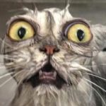 Zdjęcie profilowe zgaga-on