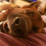 Zdjęcie profilowe Luk