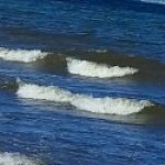 Zdjęcie profilowe Wioleta